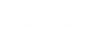 BRAUN Logo Weiß